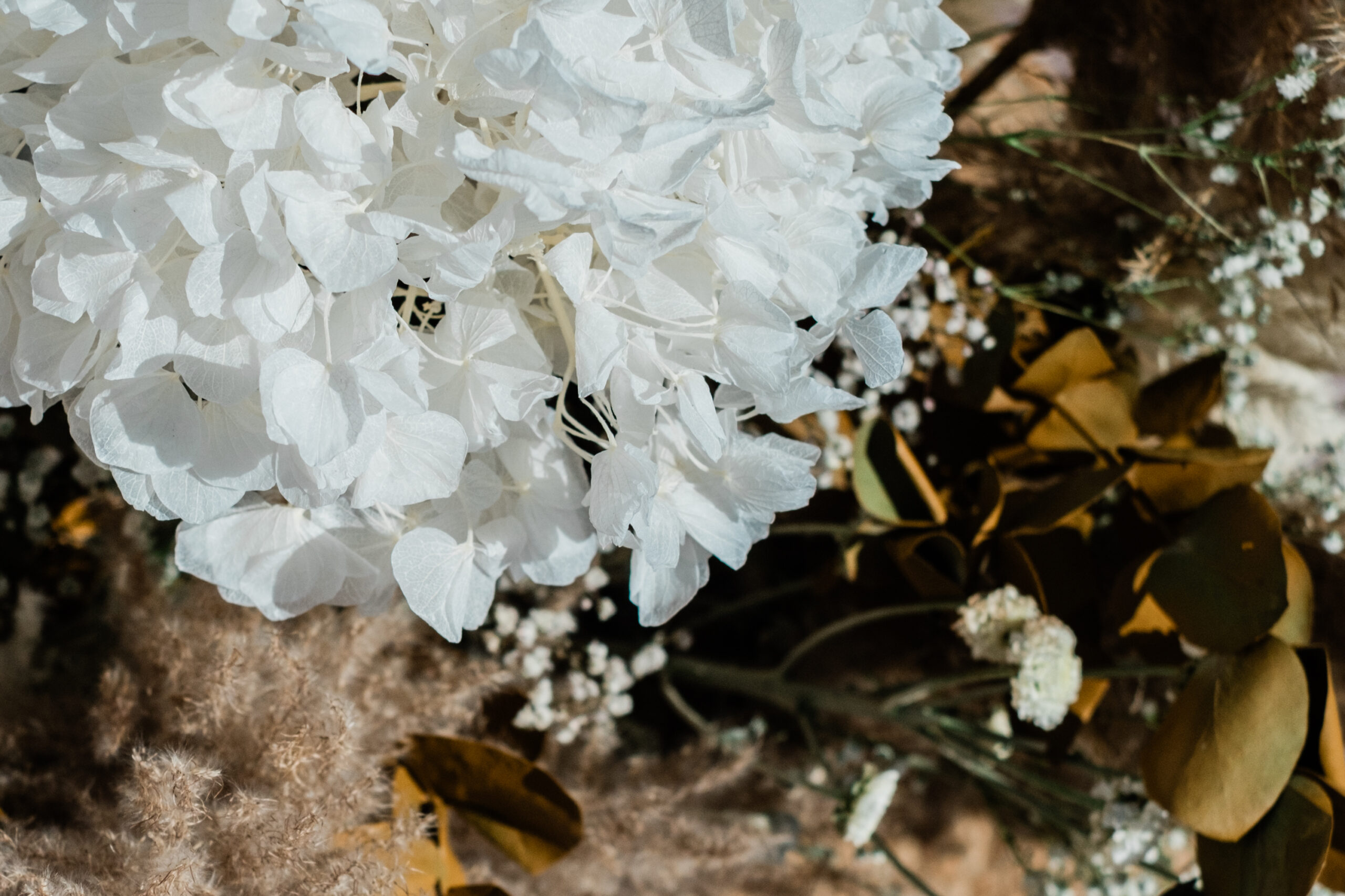 αερινος γαμος