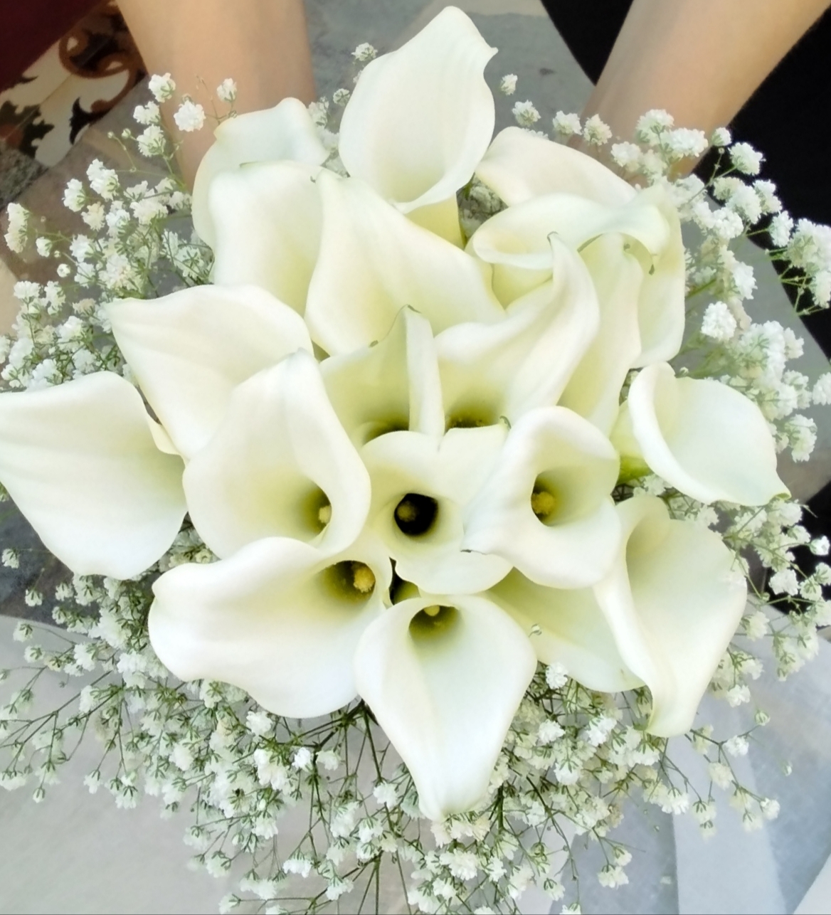 αερινος γαμος