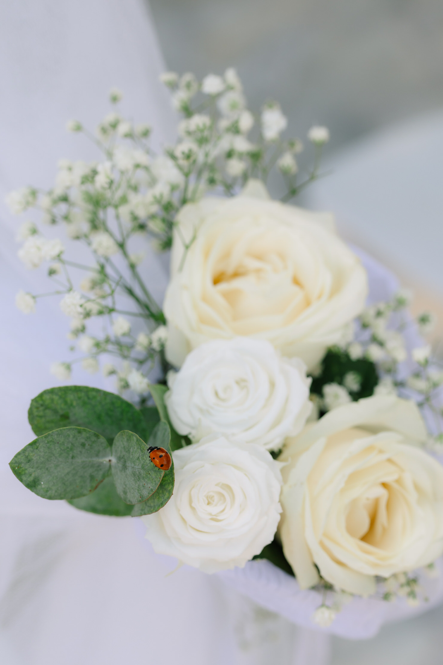 κουφέτα γαμου